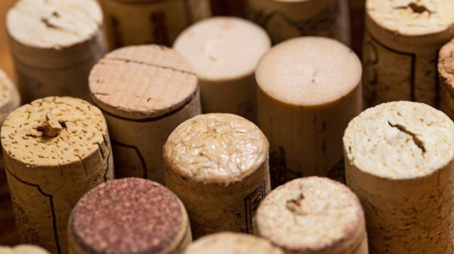 פקקי שעם  (צילום: Freepik)