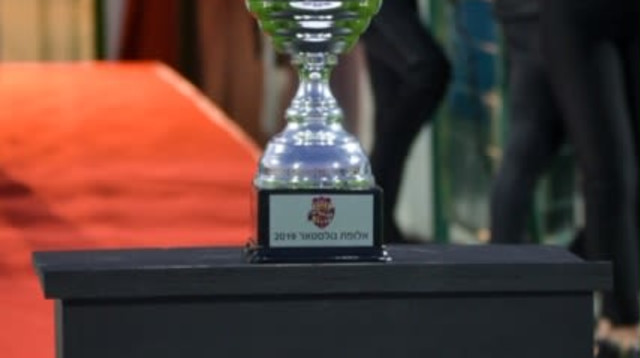 גולסטאר (צילום: אריאל שלום)