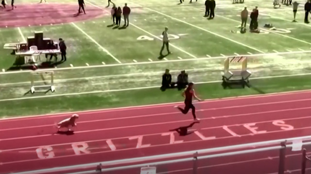 לפני קו הסיום (צילום: צילום מסך מתוך רויטרס)