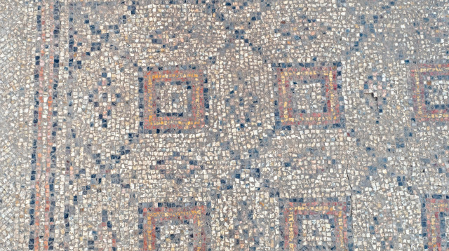 פסיפס שהתגלה ביבנה (צילום: אסף פרץ, באדיבות רשות העתיקות)