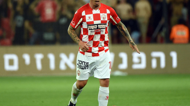 ז'וסואה (צילום: ברני ארדוב‎)