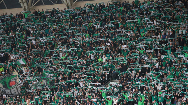 אוהדי מכבי חיפה (צילום: אודי ציטיאט)