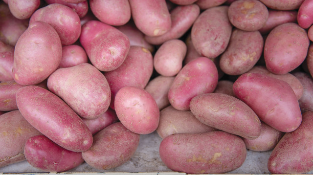 תפוחי אדמה (צילום: יהב גמליאל פלאש 90)