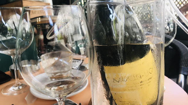 מקון. מחוץ לאזור הנוחות  (צילום: טליה לוין)