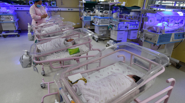 פגייה, אילוסטרציה (צילום: Getty images)