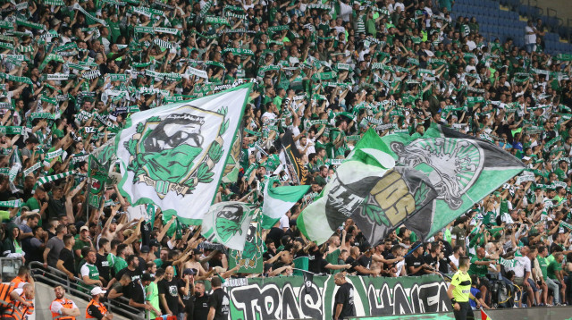 אוהדי מכבי חיפה (צילום: אודי ציטיאט)