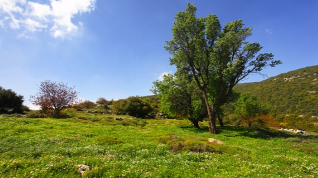 הר מירון (צילום: Shutterstock)