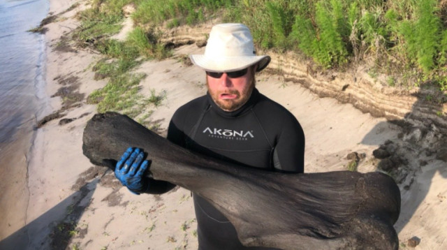 עצם הממותה שהתגלתה בקרקעית הנהר (צילום: Getty images)