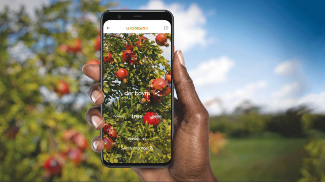 Google (צילום: באדיבות Google)