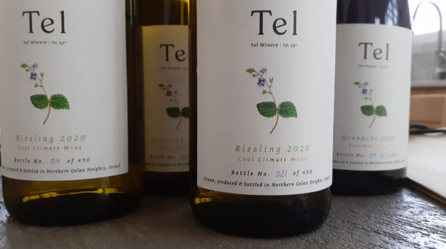 יקב תל, ריזלינג  (צילום: באדיבות היקב )