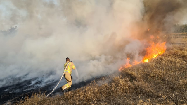 שריפה כתוצאה מבלוני תבערה בעוטף עזה (צילום: כבאות והצלה מחוז דרום)