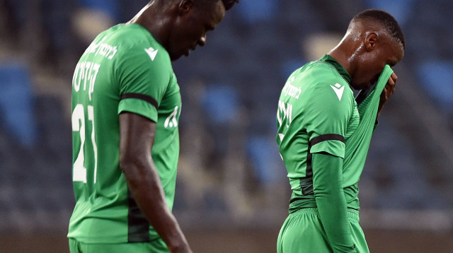 קיזיטו (צילום: ברני ארדוב)