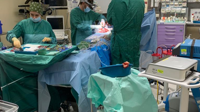 ניתוח השתלת אונת כבד בתינוק (צילום: דוברות מרכז שניידר)