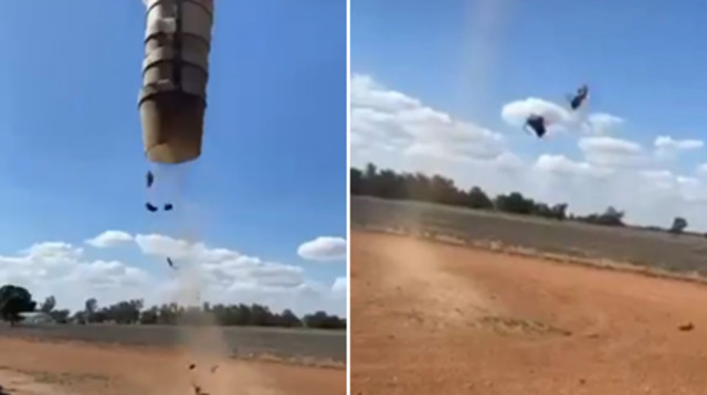 גשם של עכברים (צילום: צילום מסך מתוך רויטרס)