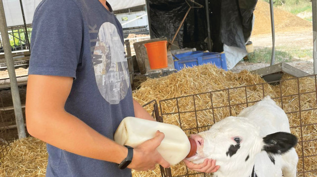 אליה שאול (צילום: פרטי)