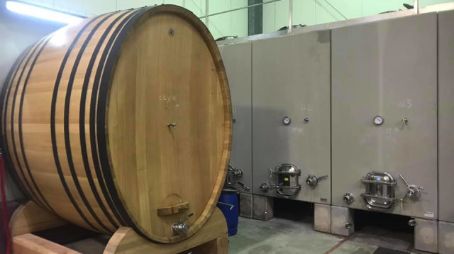 יקב יתיר - מכלי בטון ועץ  (צילום: סנהדרינק)