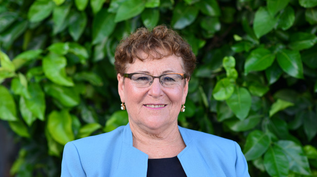 מרים פרץ (צילום: מאיר אליפור)