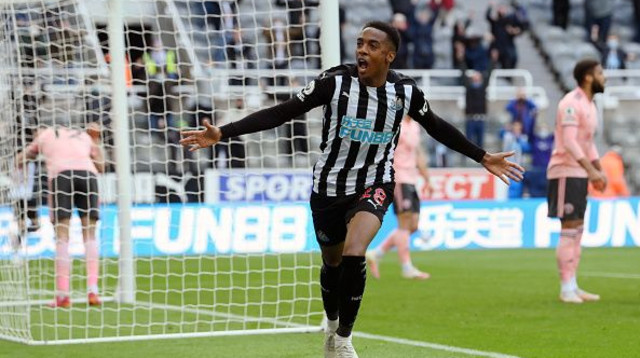 ג'ו ווילוק חוגג (צילום: Stu Forster/Getty Images)