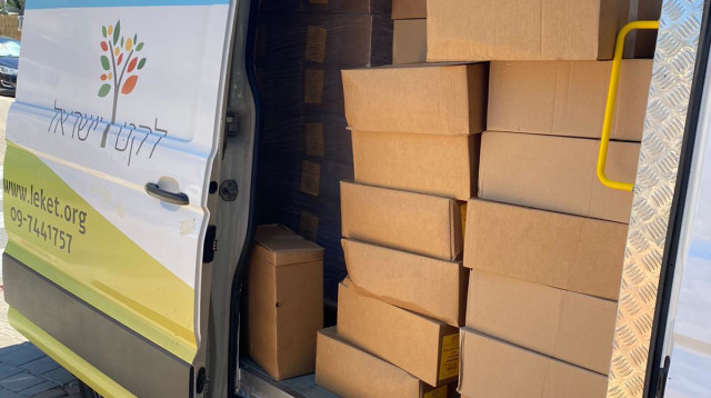 מזון שנאסף עבור תושבי הדרום (צילום: באדיבות לקט ישראל)
