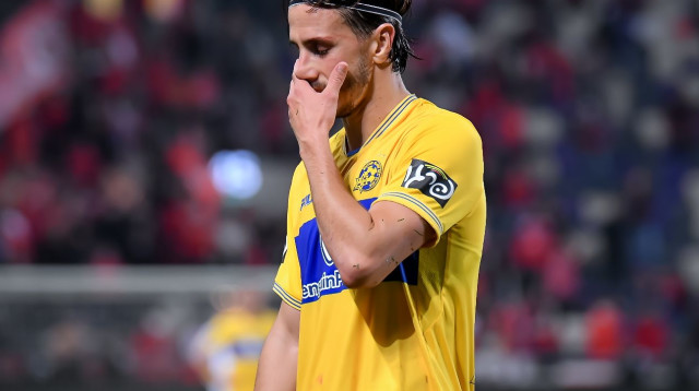 אלכסנדר פשיץ' (צילום: אריאל שלום)