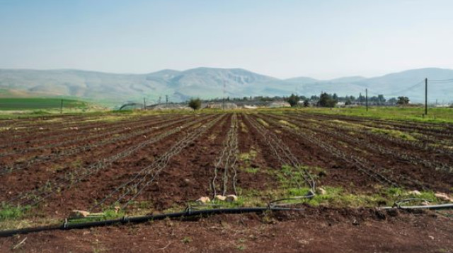קרקע חקלאית (צילום: Shutterstock)