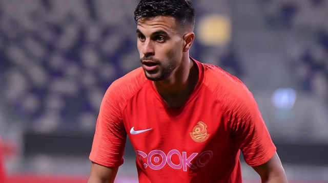 דין דוד (צילום: אריאל שלום)