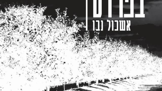 גבר נכנס לפרדס (צילום: הוצאת כנזרת זמורה ביתן)