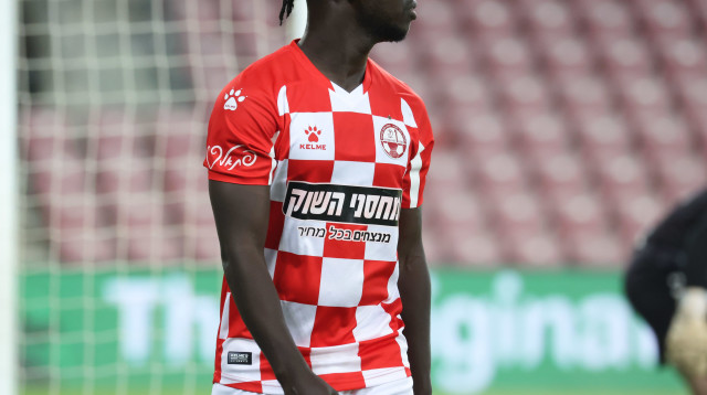 סינטיהו סלליך (צילום: דני מרון)