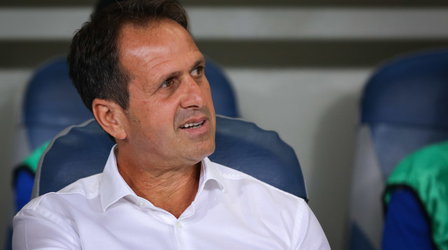 רוני לוי (צילום: מאור אלקסלסי)