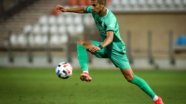 נואף בזיע (צילום: מאור אלקסלסי)