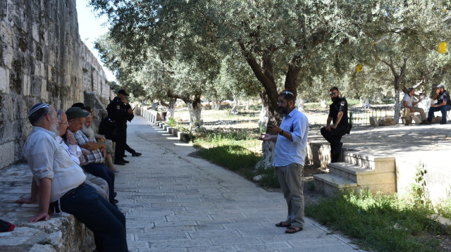 יהודים בהר הבית (צילום: מעיין ברבי/TPS)