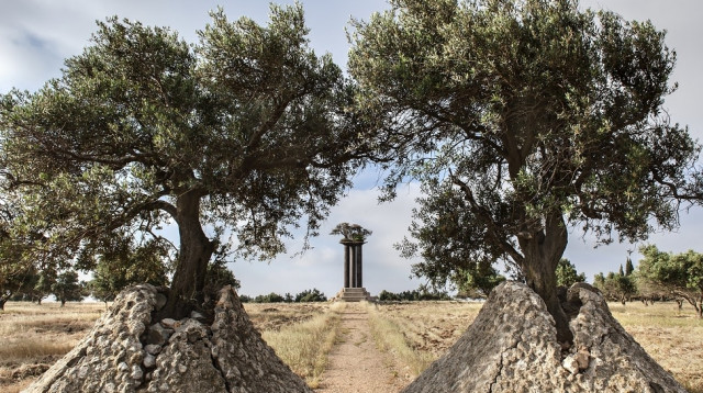 פארק עצי הזית ברמת רחל  (צילום: עודד סמדר)