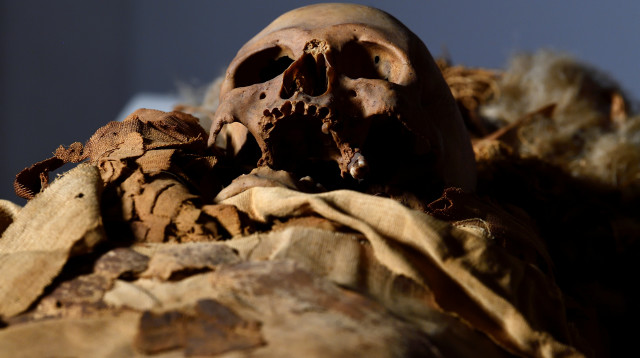 המומיה של הכומר המצרי הקדום (צילום: רויטרס)