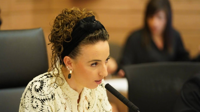 עידית סילמן (צילום: דני שם טוב, דוברות הכנסת)