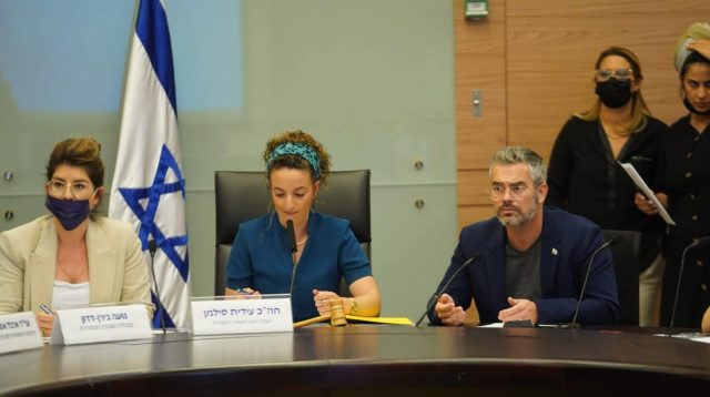 הדיון בוועדה המסדרת (צילום: דני שם טוב, דוברות הכנסת)