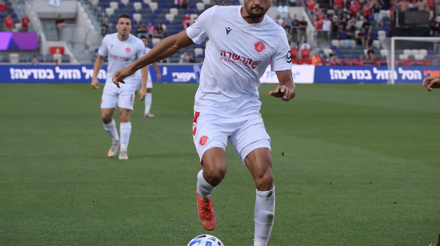 ניב סרדל (צילום: אריאל שלום)