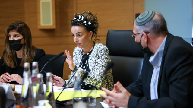 עידית סילמן (צילום: נועם מושקוביץ, דוברות הכנסת)