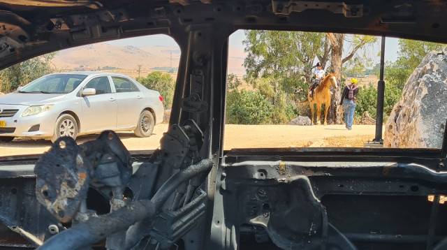 שריפת הרכבים בצפון (צילום: אלי אשכנזי, וואלה!)