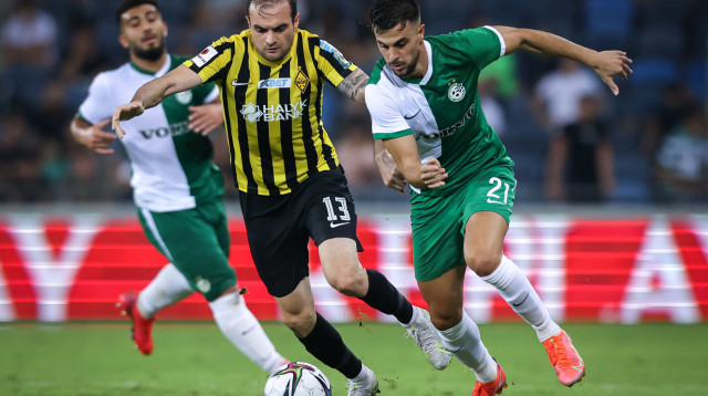 דין דוד (צילום: מאור אלקסלסי)