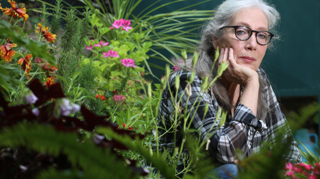 תרבות (צילום: מירי צחי)