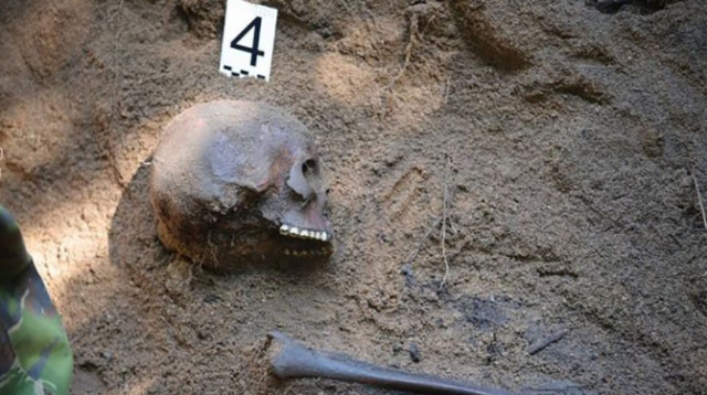 הממצאים שהתגלו בקבר האחים מימי השואה (צילום: רויטרס)