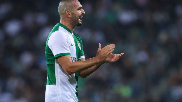 בן שהר (צילום: מאור אלקסלסי)