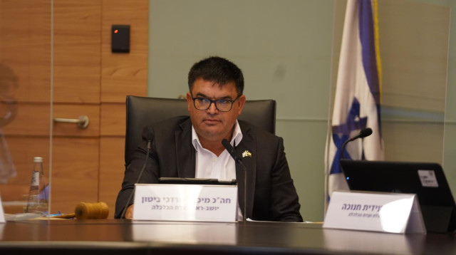 מיכאל ביטון בוועדת הכלכלה (צילום: דוברות הכנסת, דני שם טוב)