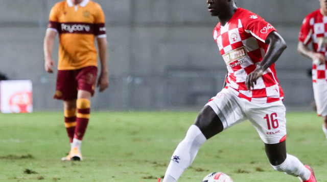 סינטיהו סלליך (צילום: דני מרון)