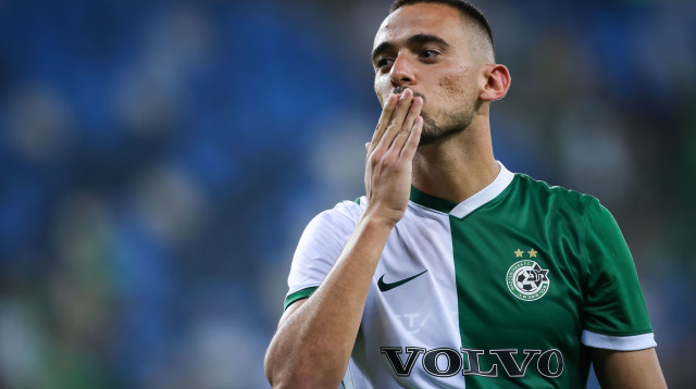 מאור לוי (צילום: מאור אלקסלסי)