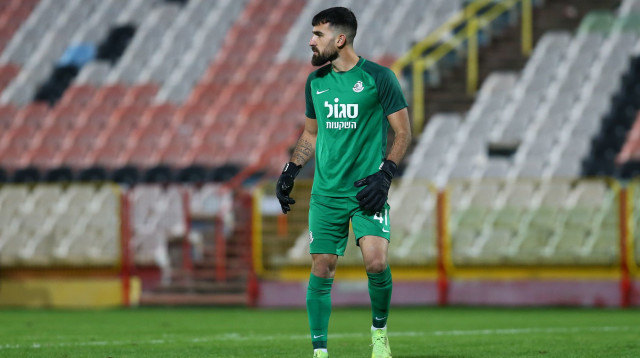 רון שושן (צילום: לירון מולדובן)