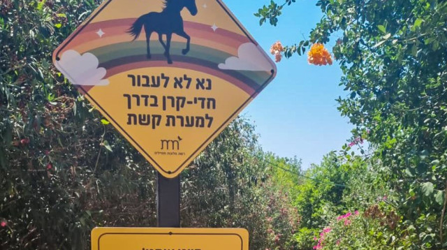 הדרך המקורית שתמנע אסון (צילום: טל פינקלשטיין)