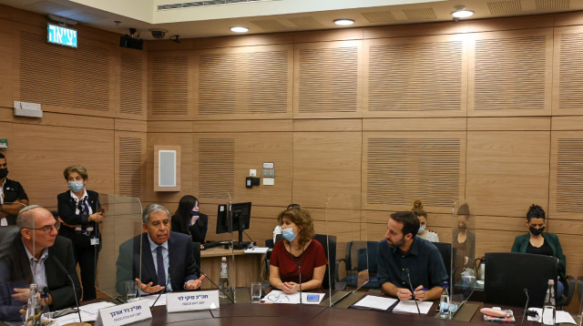 ועדת הכנסת (צילום: דוברות הכנסת)