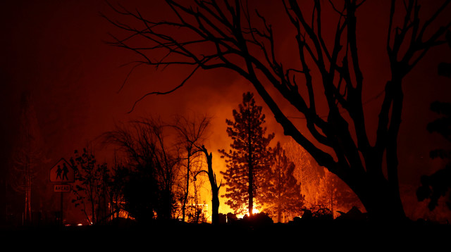 שריפה בקליפורניה (צילום: רויטרס)