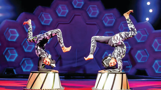 קרקס פלורנטין (צילום: דנה קפלן)